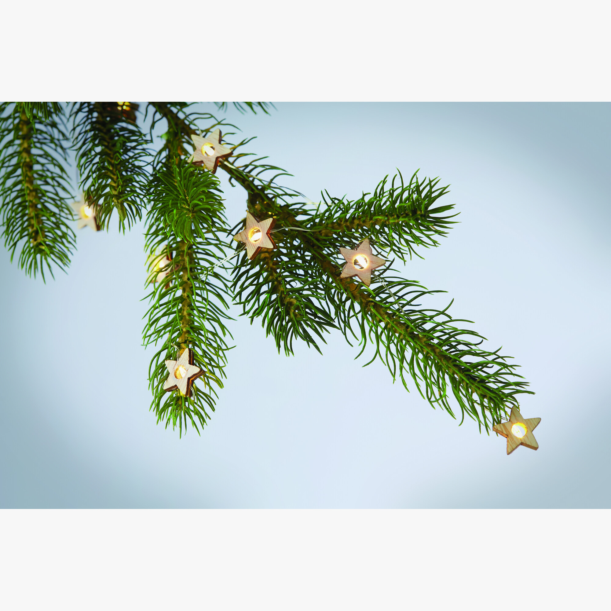 cx1462-40-detail.jpg cx1462-40-detail.jpg