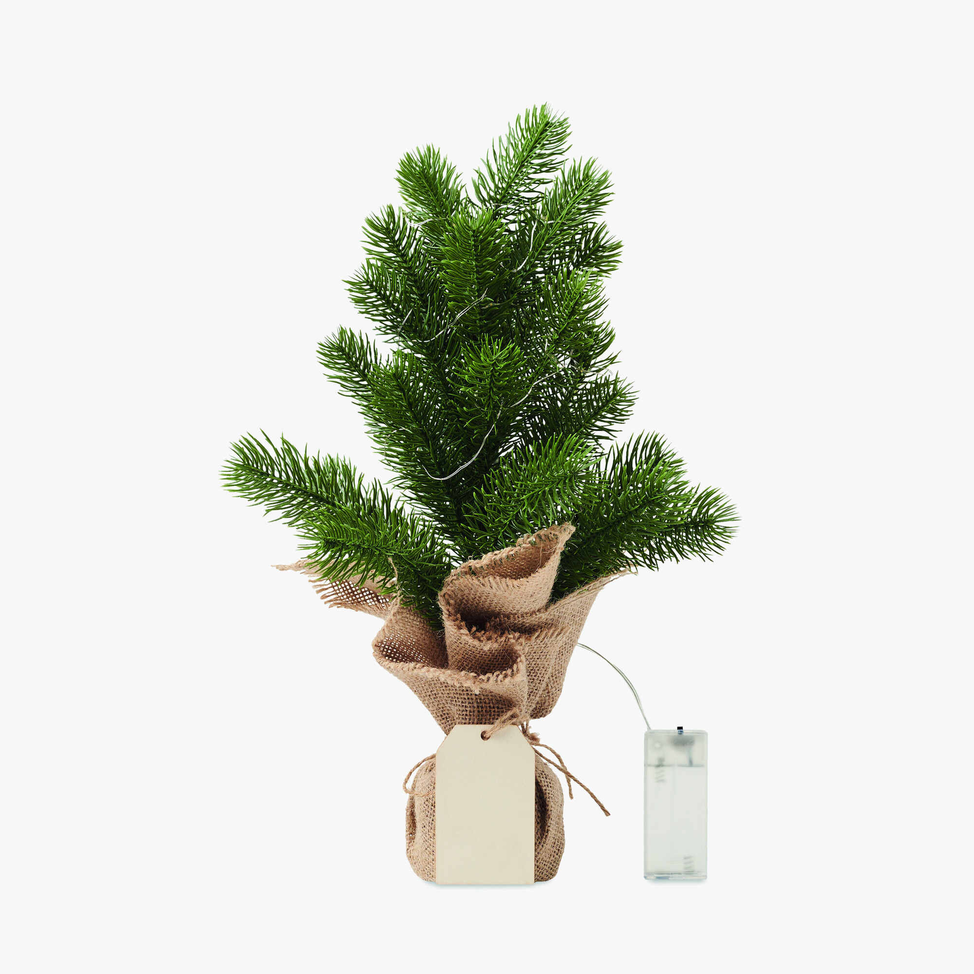 cx1511-09-back.jpg cx1511-09-back.jpg