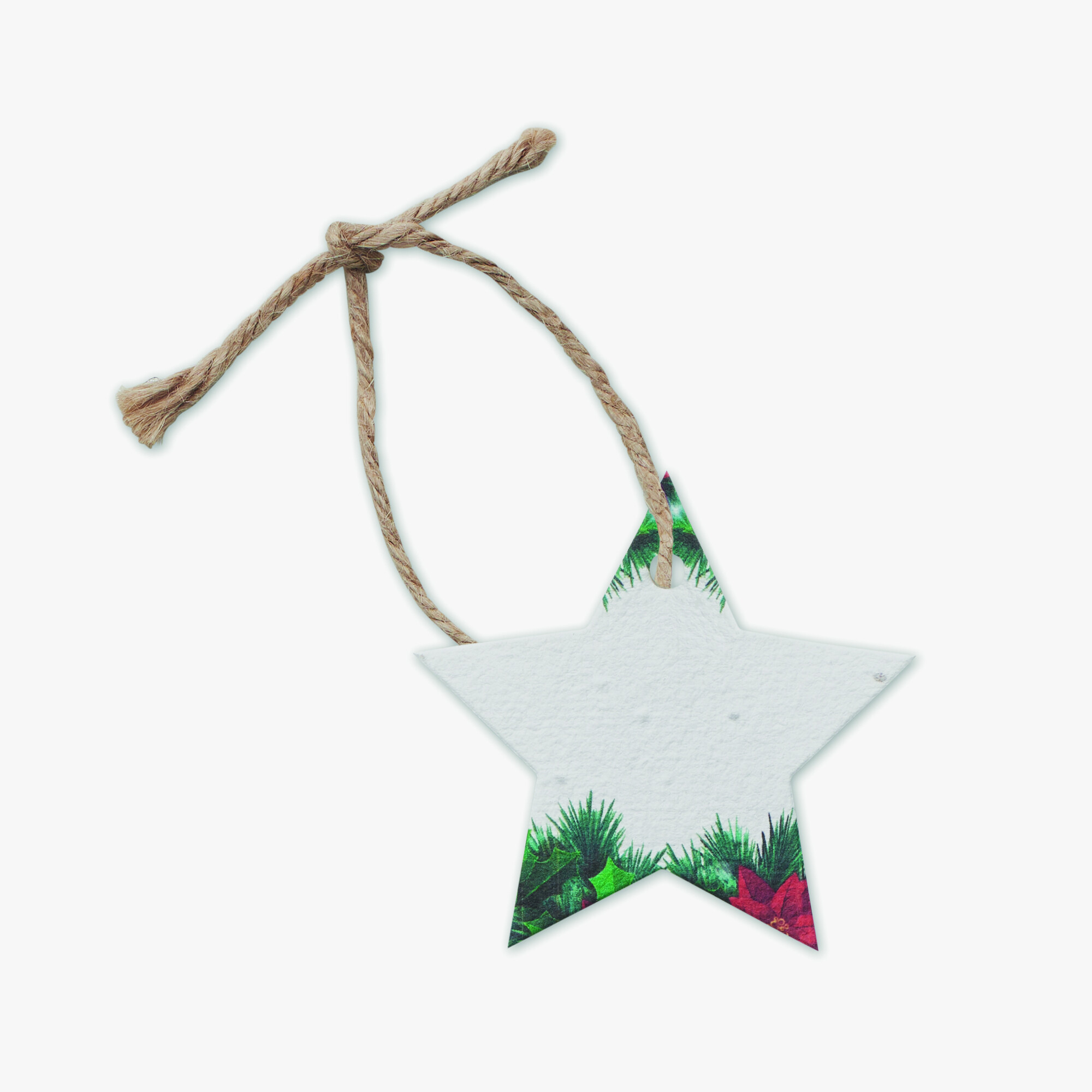 cx1516-06-back.jpg cx1516-06-back.jpg