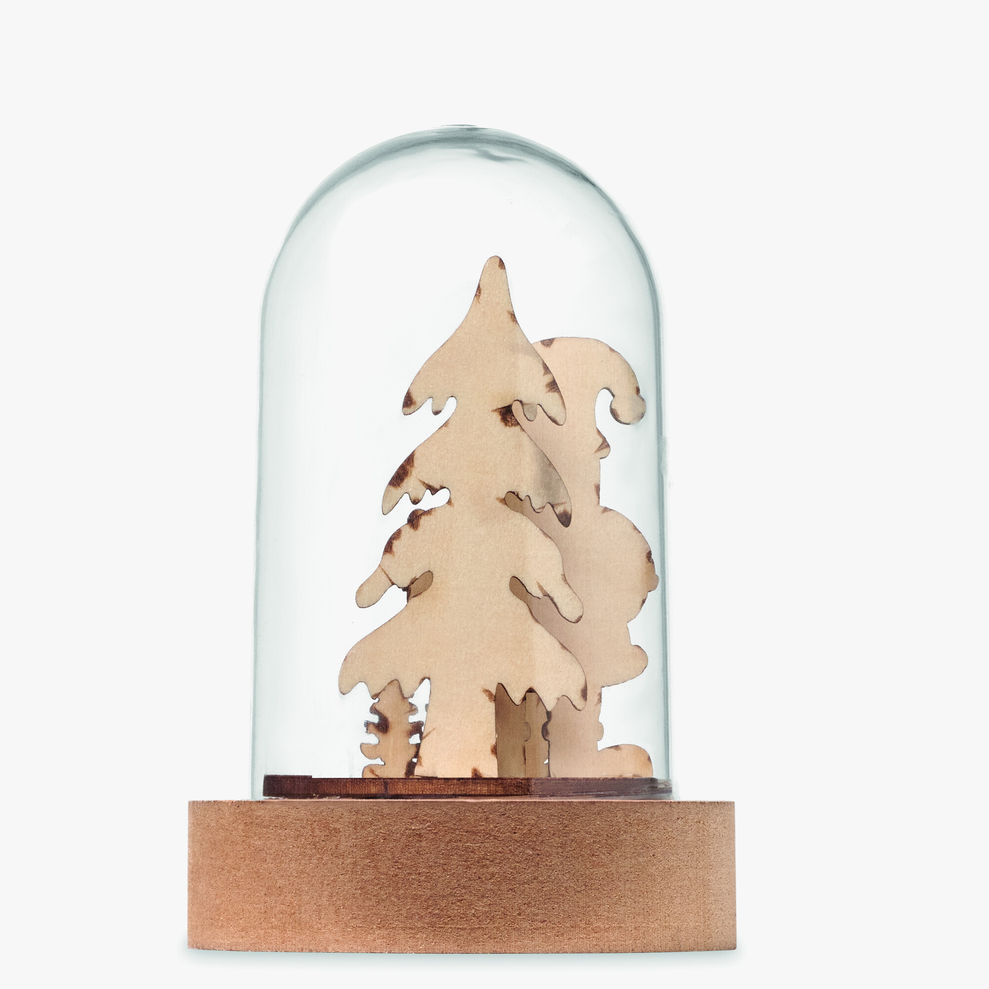 cx1558-40-back.jpg cx1558-40-back.jpg