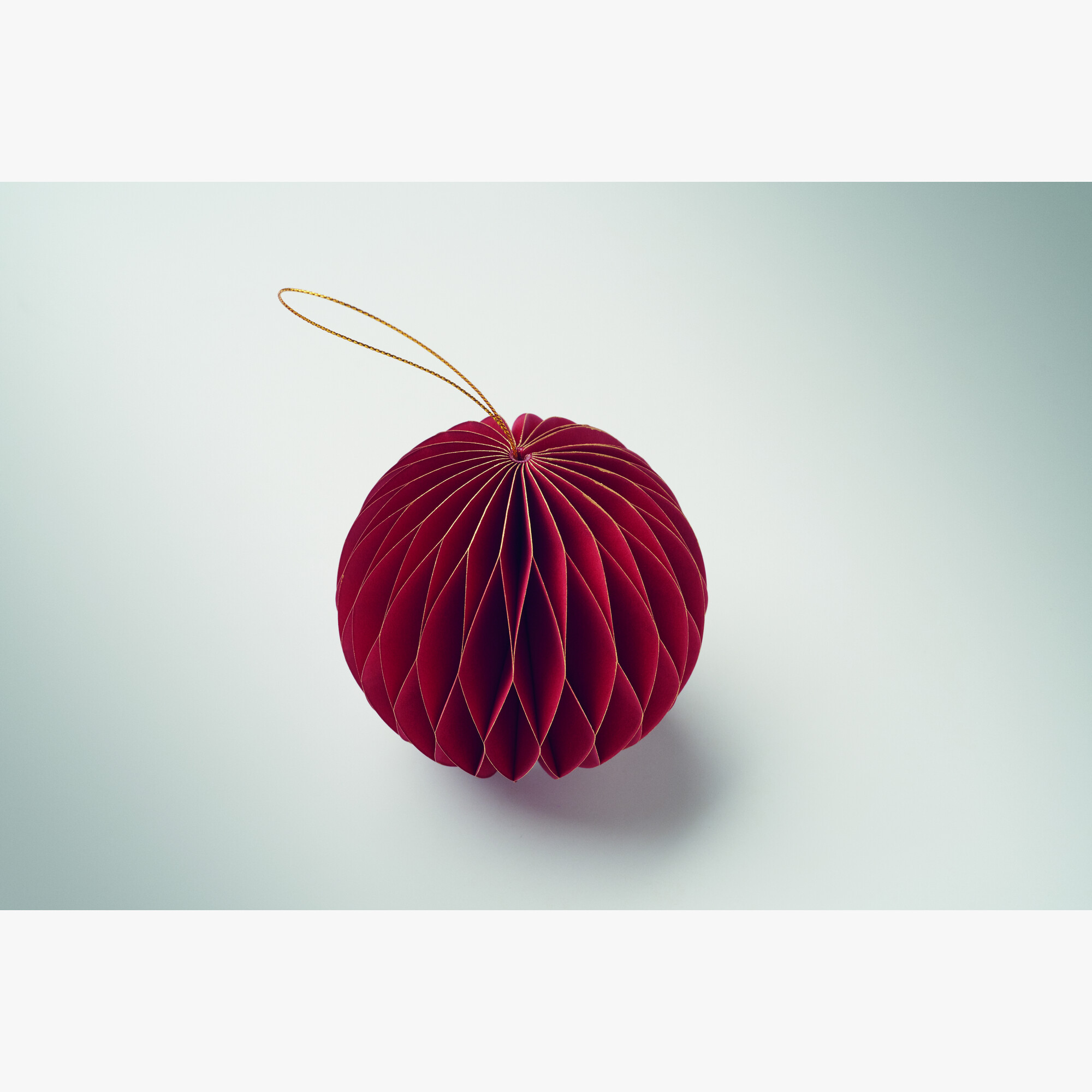 cx1576-05-detail.jpg cx1576-05-detail.jpg