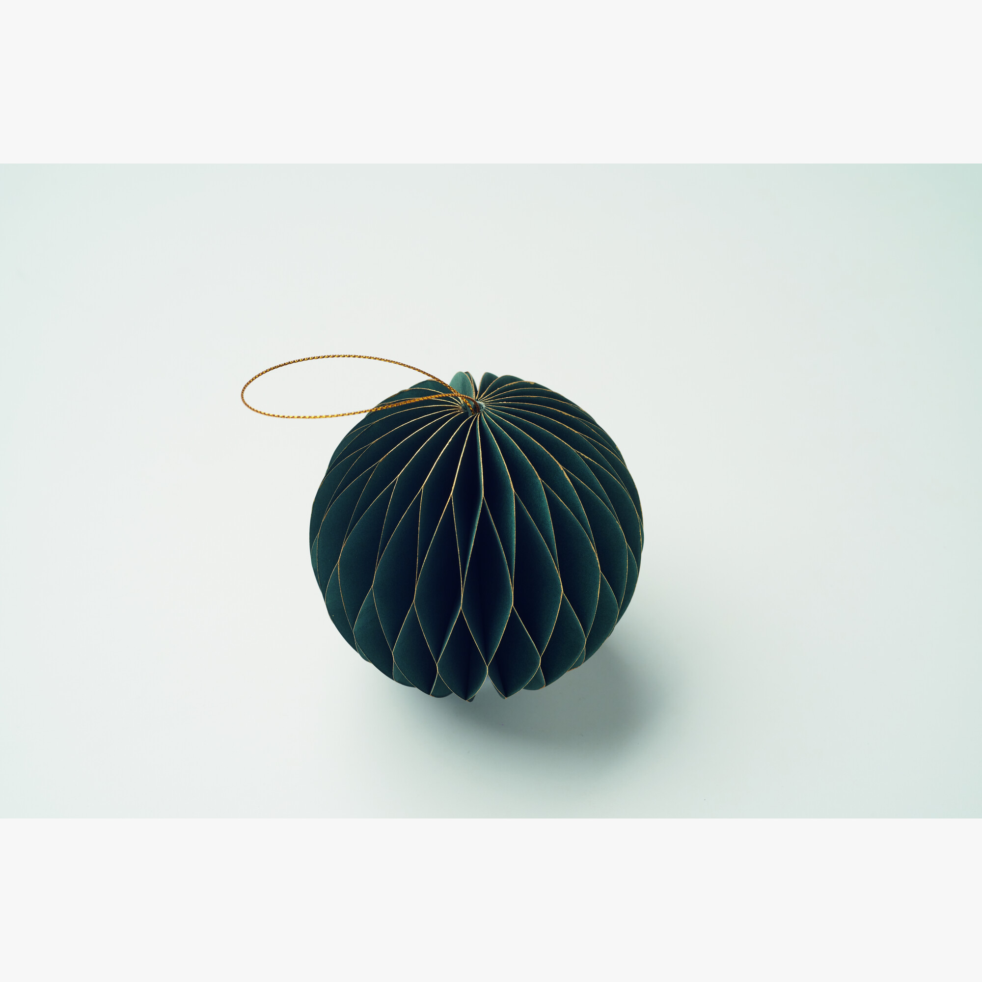 cx1576-09-detail.jpg cx1576-09-detail.jpg