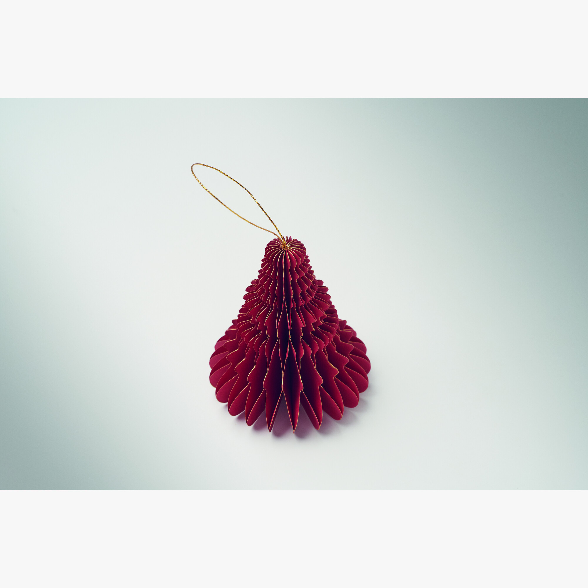 cx1577-05-detail.jpg cx1577-05-detail.jpg