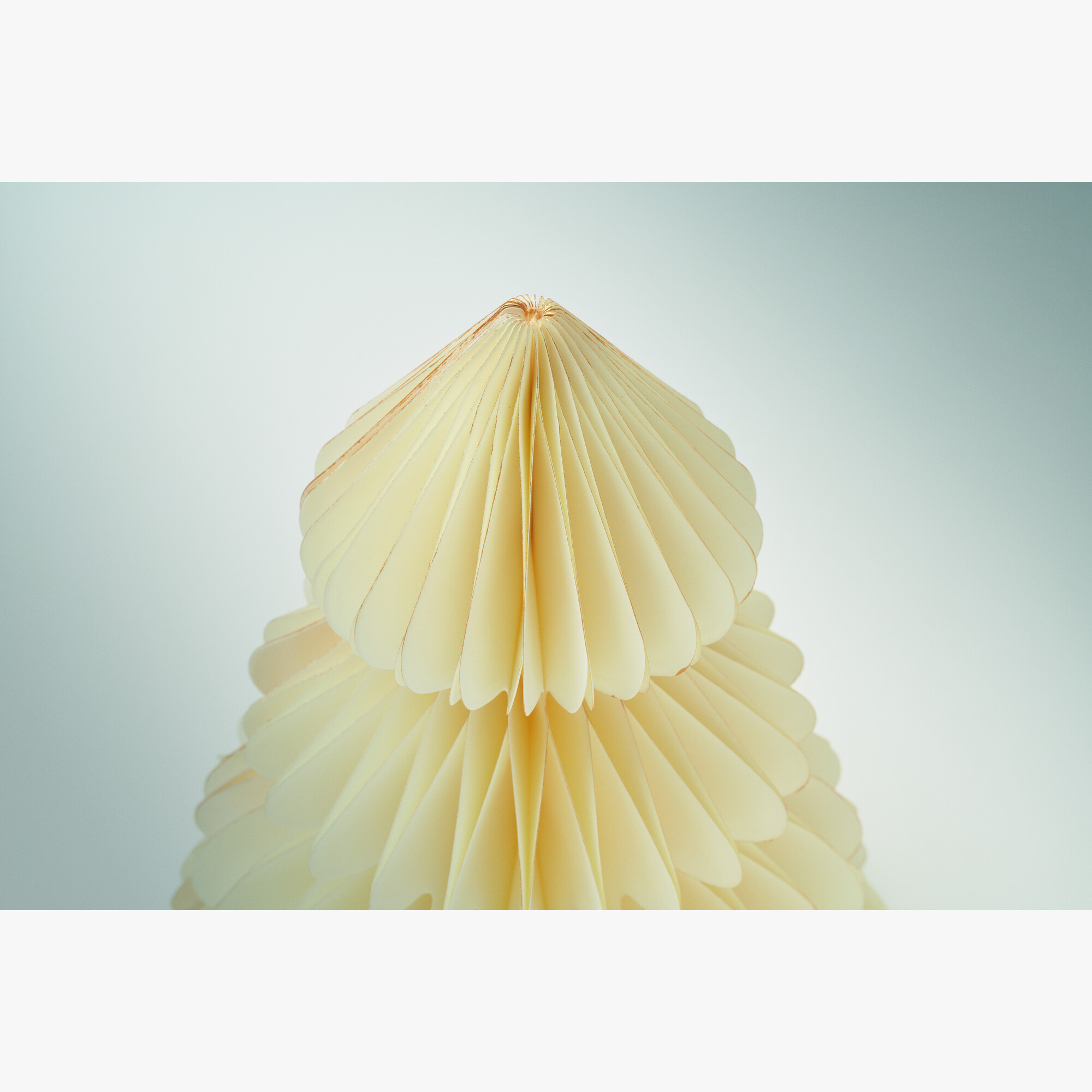 cx1578-13-detail.jpg cx1578-13-detail.jpg