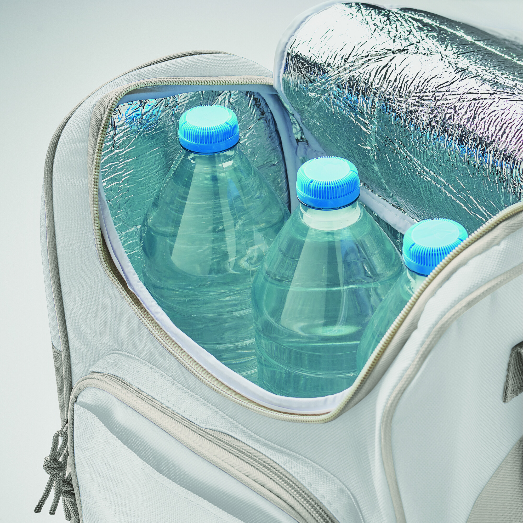 it3101-06-detail.jpg it3101-06-detail.jpg