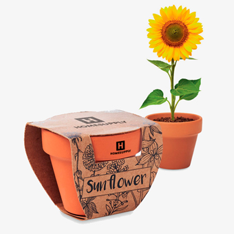 Maceta de terracota personalizada con semillas