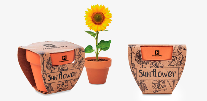 Pot en terre cuite personnalisé avec graines