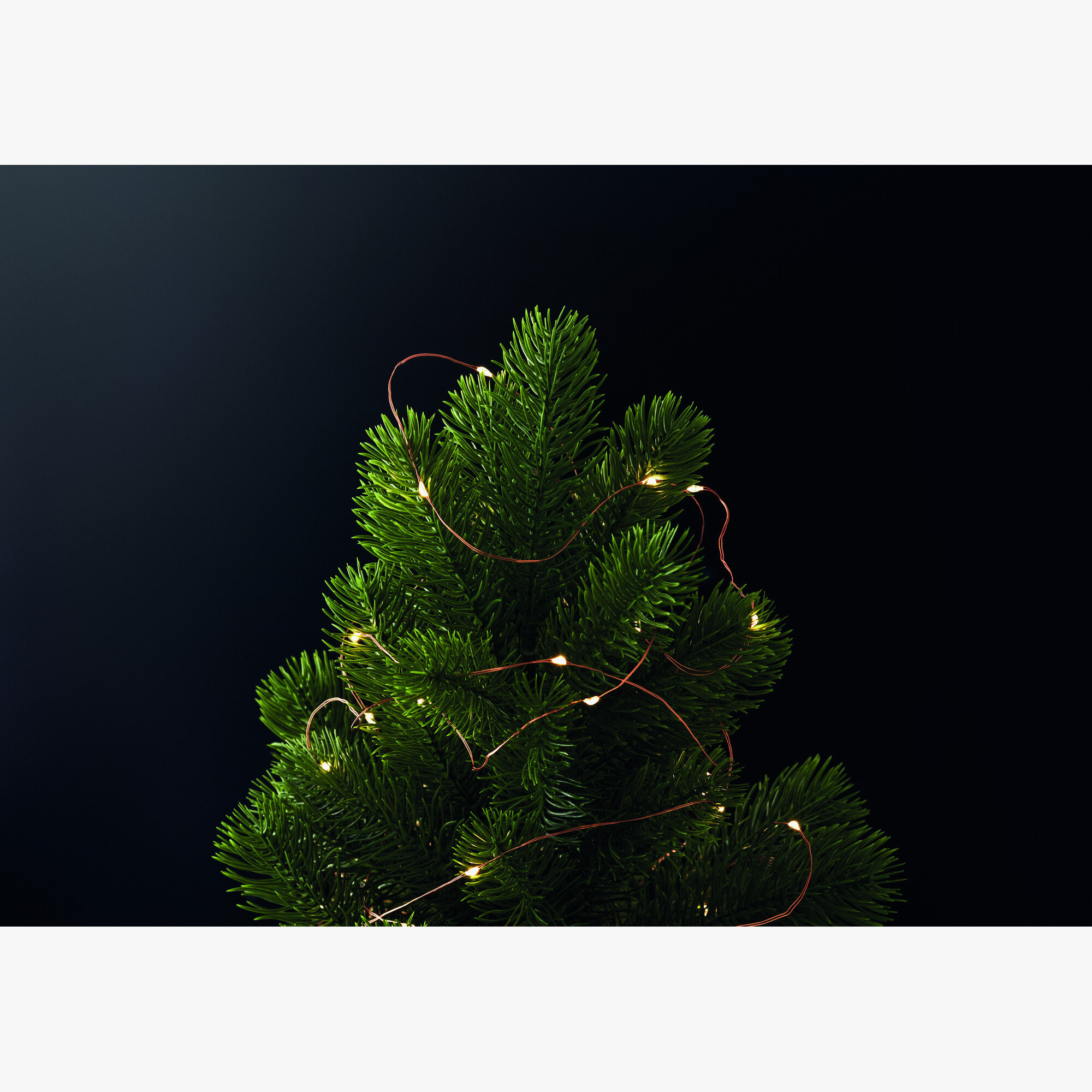 mo6611-40-ambiant.jpg mo6611-40-ambiant.jpg