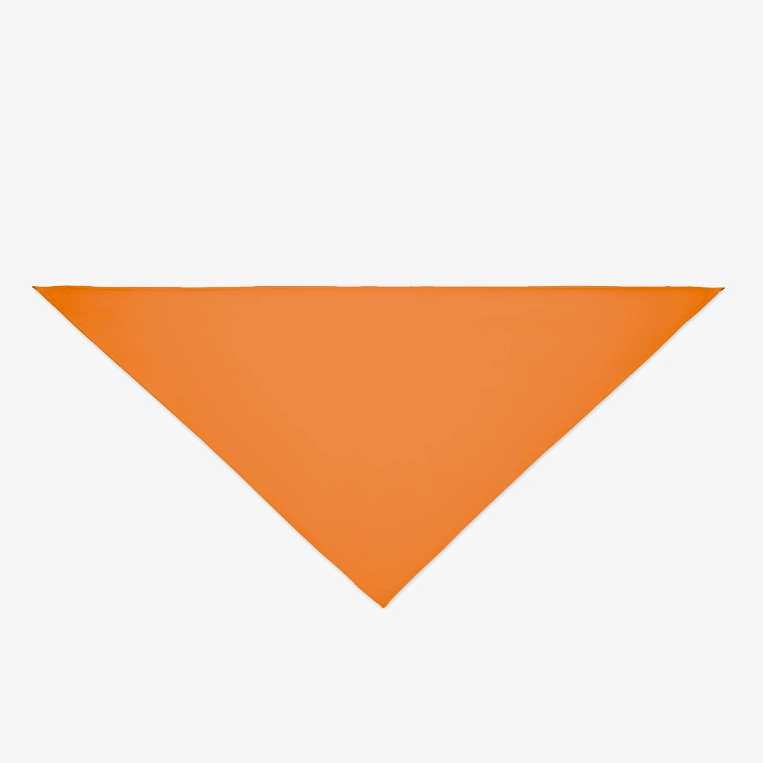 Personalised triangular bandana