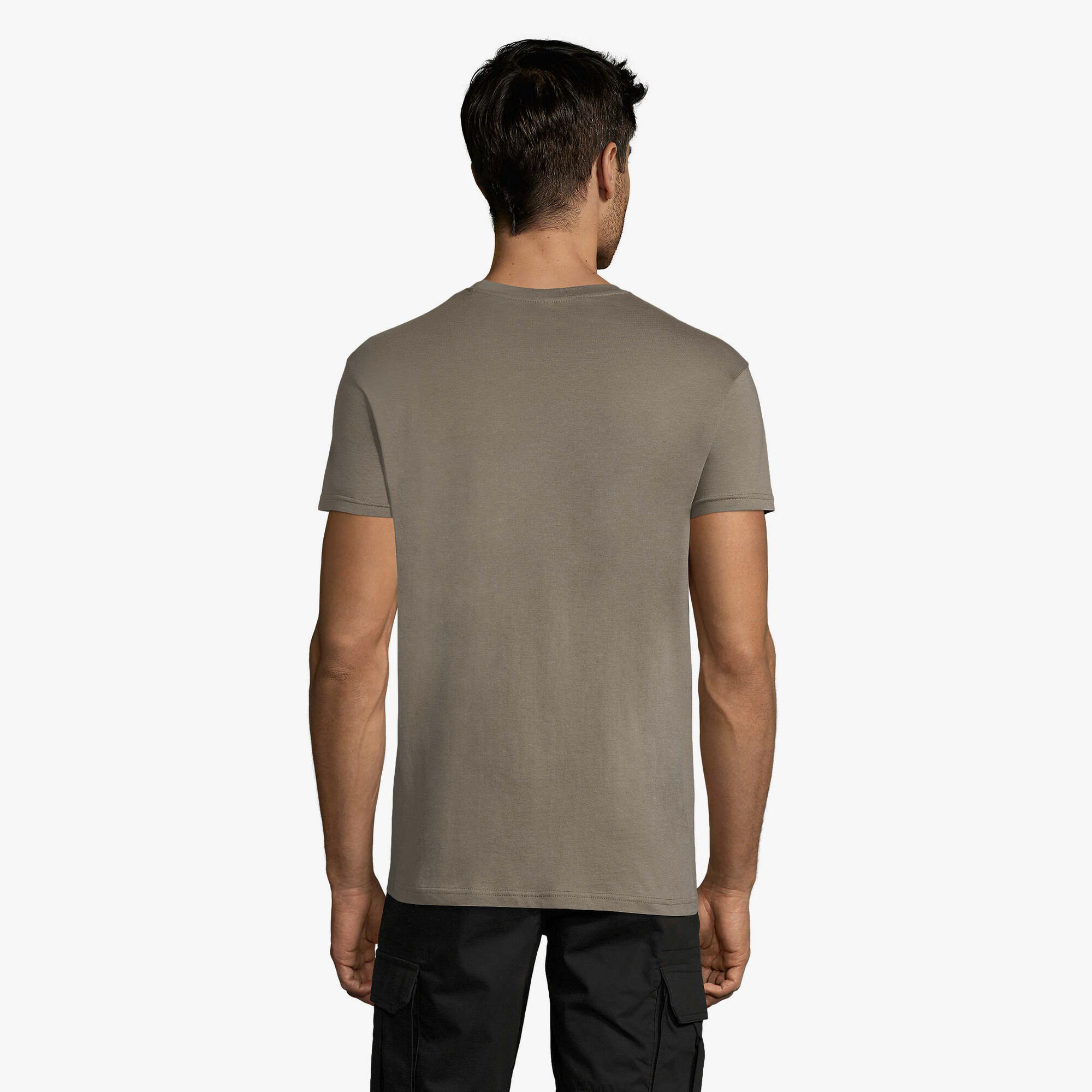 s11380-zi-back.jpg s11380-zi-back.jpg