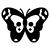 BW_butterfly_crmn